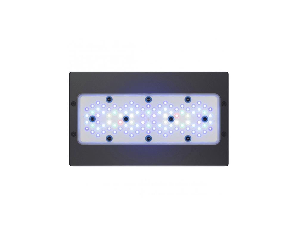 Radion XR30 Blue LED Light Fixture - Ecotech Marine