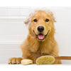 Espree Shampoo & Conditioner for Dog and Cat - PetStore.ae