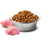 Farmina - Chicken & Pomegranate Kitten Dry Food - PetStore.ae