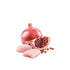 products/farmina-pets-food-farmina-n-d-chicken-pomegranate-puppy-mini-dog-food-30782521049250.jpg