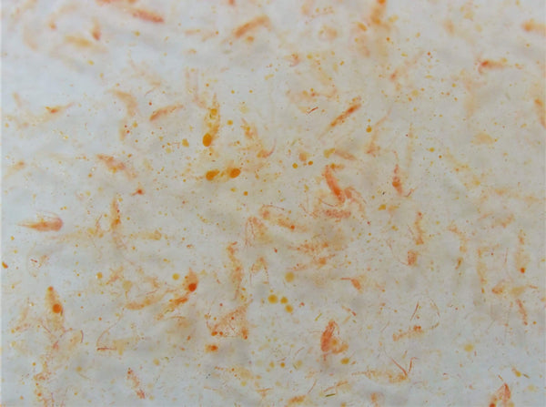 100% Natural Ocean Plankton - Fish And Coral Food - Fauna Marin - PetStore.ae