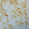 100% Natural Ocean Plankton - Fish And Coral Food - Fauna Marin - PetStore.ae