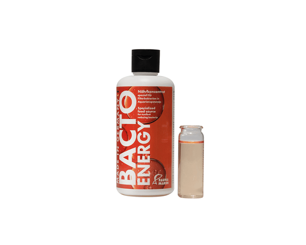 Fauna Marin - Bacto Energy - Specialized Food Source for Nutrient Reducing Bacteria - PetStore.ae