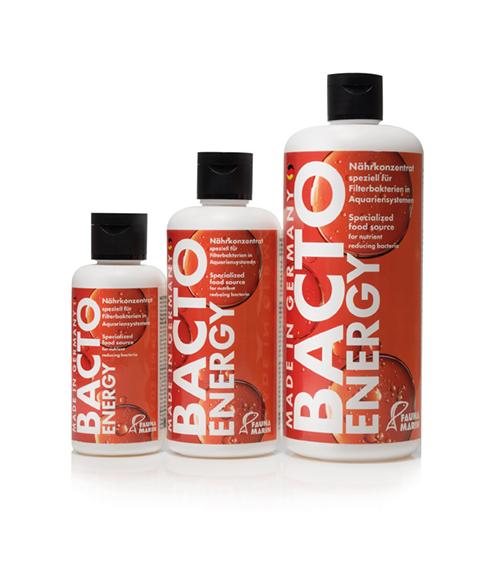 Fauna Marin - Bacto Energy - Specialized Food Source for Nutrient Reducing Bacteria - PetStore.ae