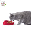 Georplast - Vibrissa Bowl Small - PetStore.ae