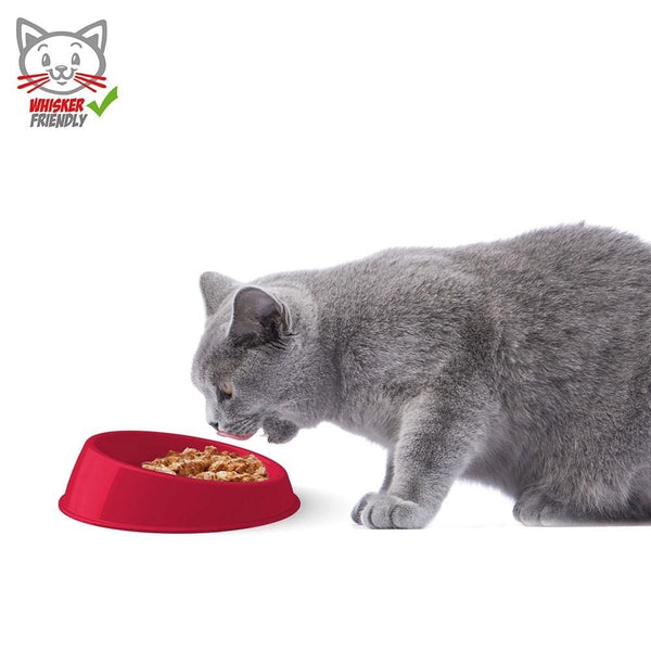 Georplast - Vibrissa Bowl Small - PetStore.ae