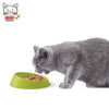 Georplast - Vibrissa Bowl Small - PetStore.ae