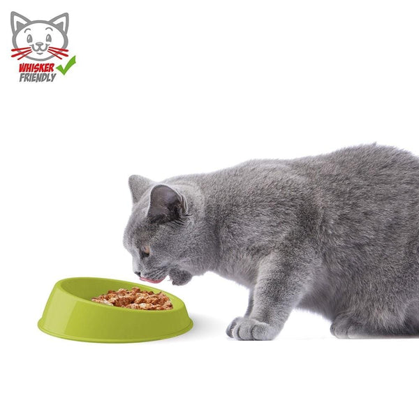 Georplast - Vibrissa Bowl Small - PetStore.ae