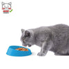 Georplast - Vibrissa Bowl Small - PetStore.ae