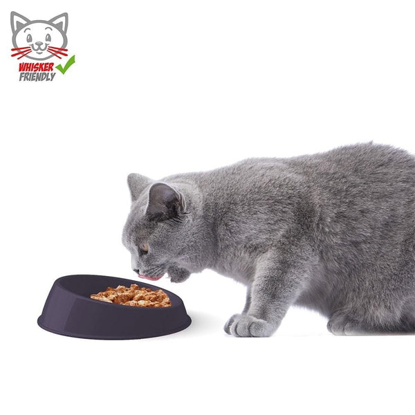 Georplast - Vibrissa Bowl Small - PetStore.ae