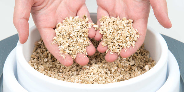 Catit Cat Grass Kit - Hagen - PetStore.ae