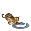 Catit Design Senses Cat Scratch Pad - Hagen - PetStore.ae
