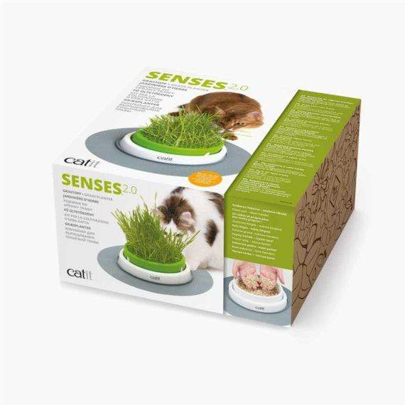 Catit Senses 2.0 Grass Planter - Hagen - PetStore.ae