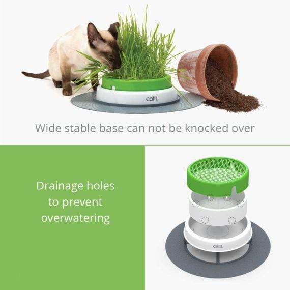 Catit Senses 2.0 Grass Planter - Hagen - PetStore.ae