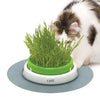 Catit Senses 2.0 Grass Planter - Hagen - PetStore.ae