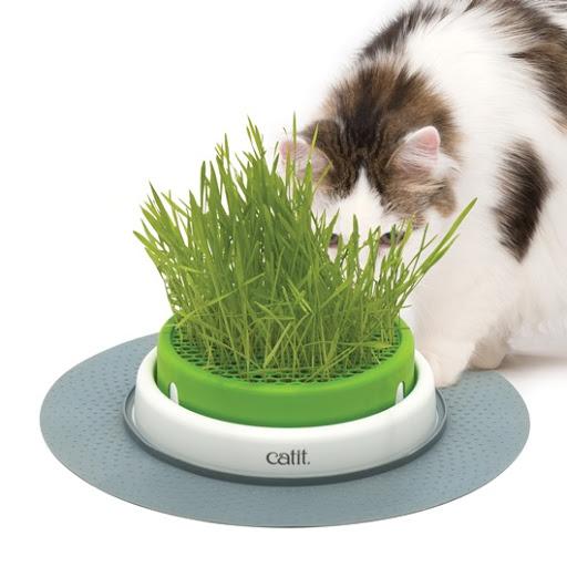 Catit Senses 2.0 Grass Planter - Hagen - PetStore.ae