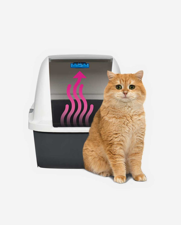 Magic Blue Air Purifier For Cat Litter Box - Hagen - PetStore.ae