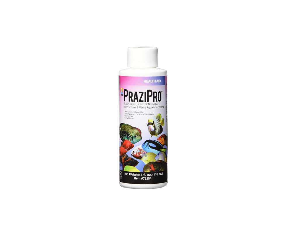 PraziPro Aquarium Solutions - Hikari
