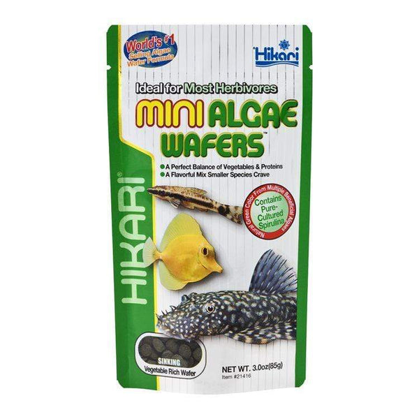 Tropical Mini Algae Wafers Fish Food - Hikari - PetStore.ae