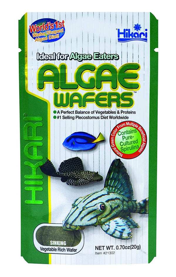 Tropical Algae Wafers Fish Food - Hikari - PetStore.ae