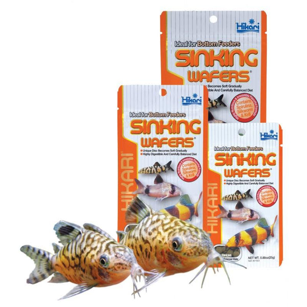 Tropical Sinking Wafers - Hikari - PetStore.ae