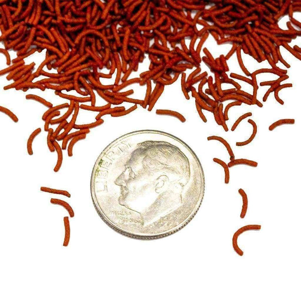 Vibra Bites - Tropical Fish Food - Hikari - PetStore.ae