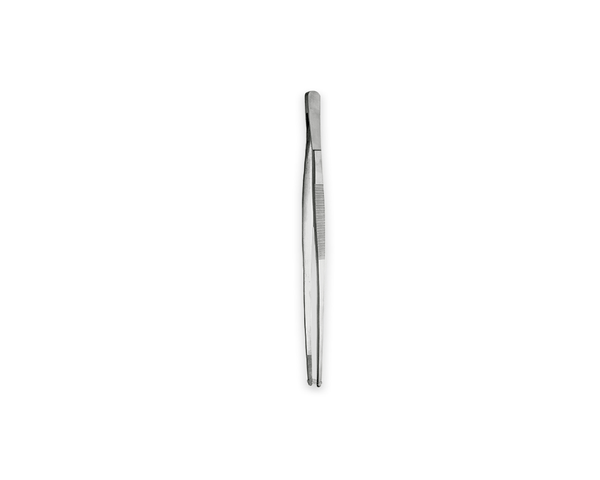 Feeding Tweezers - Hobby - PetStore.ae