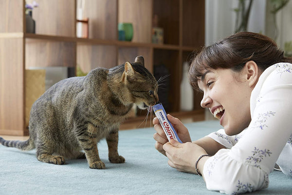 Inaba - Juicy Bites Fish & Clam Flavor - PetStore.ae