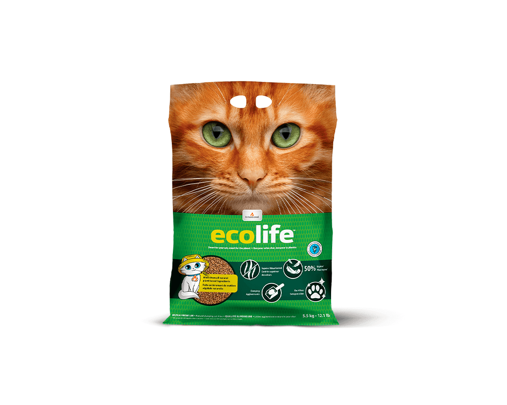 Ecolife Bio-Degradable Cat Litter - Intersand