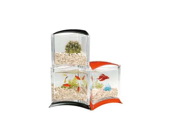Stylish Tank Display Case - Fish Tank - Ista - PetStore.ae