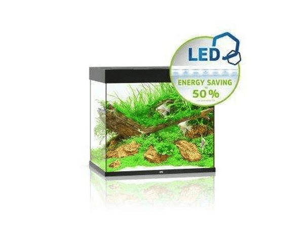 Lido 200 LED Aquarium ( 71 x 51 x 65 cm) - Juwel Aquarium - PetStore.ae