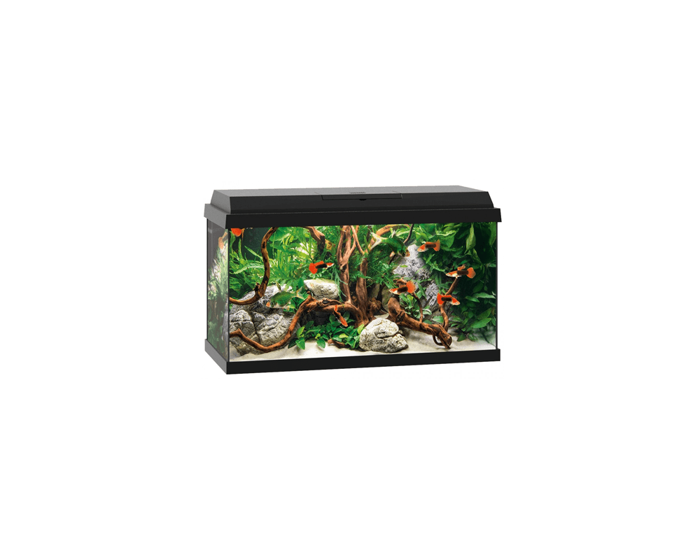 Primo 60 LED Aquarium (61 x 31 x 37 cm)- Juwel Aquarium - PetStore.ae
