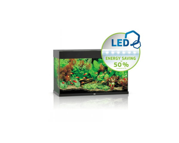 Rio 125 LED Aquarium (81 x 36 x 50 cm) - Juwel Aquarium - PetStore.ae