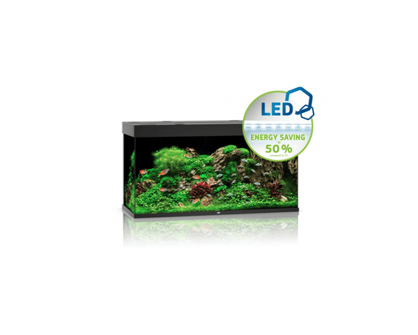 Rio 350 LED Aquarium (121 x 51 x 66 cm) - Juwel Aquarium - PetStore.ae