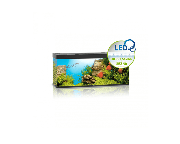 Rio 450 LED Aquarium (151 x 51 x 66 cm) - Juwel Aquarium - PetStore.ae