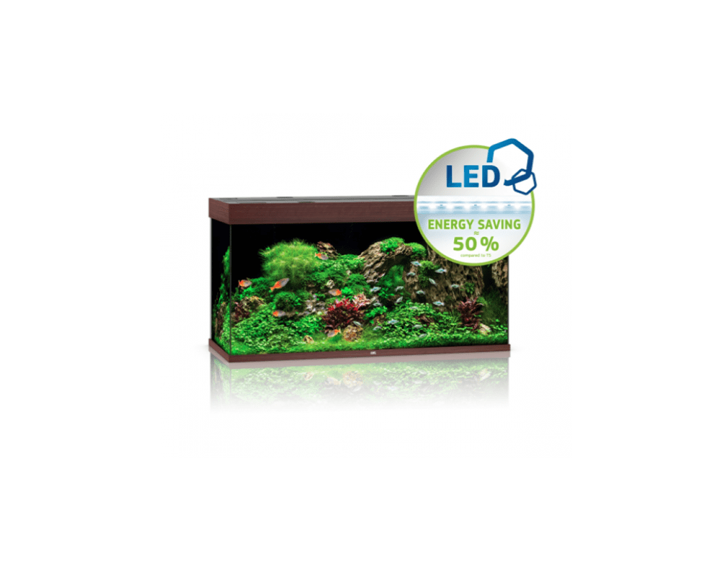 Rio 350 LED Aquarium (121 x 51 x 66 cm) - Juwel Aquarium - PetStore.ae