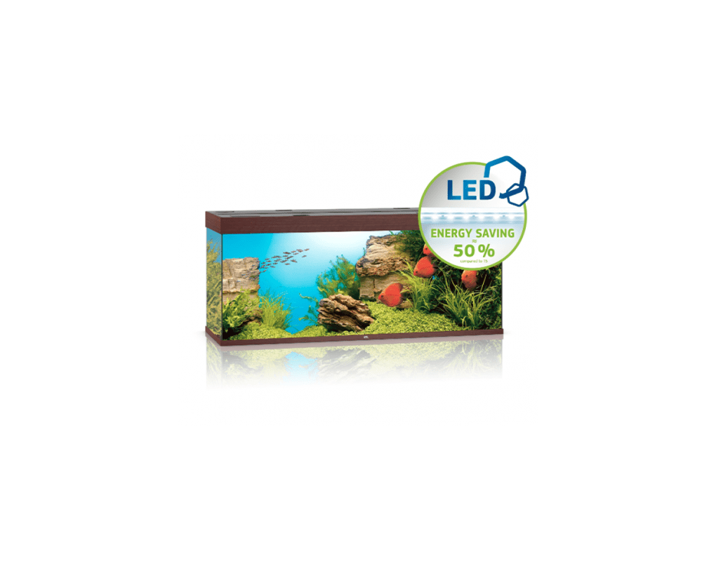 Rio 450 LED Aquarium (151 x 51 x 66 cm) - Juwel Aquarium - PetStore.ae
