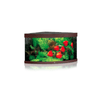 Trigon 350 Aquarium (123L x 87W x 65H cm) - Juwel Aquarium - PetStore.ae