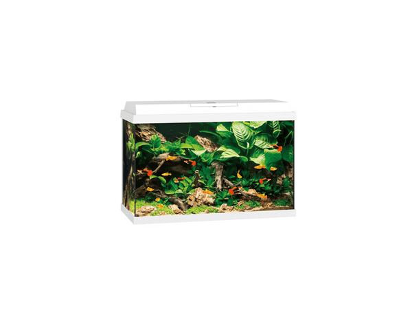 Primo 70 LED Aquarium (61 x 31 x 44 cm) - Juwel Aquarium - PetStore.ae