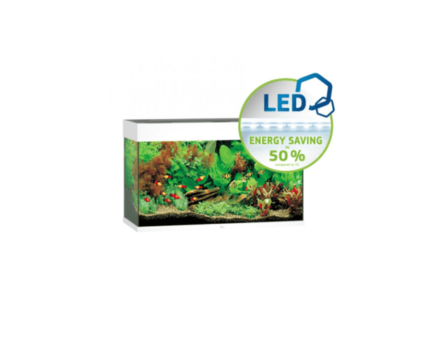Rio 125 LED Aquarium (81 x 36 x 50 cm) - Juwel Aquarium - PetStore.ae