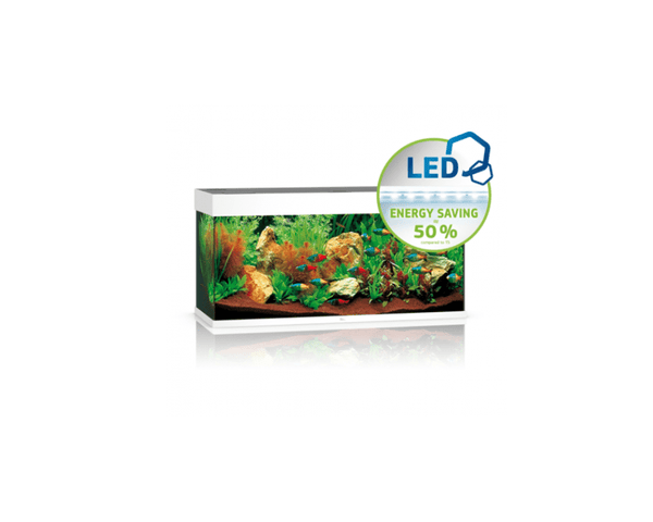 Rio 180 LED Aquarium (101 x 41 x 50 cm) - Juwel Aquarium - PetStore.ae