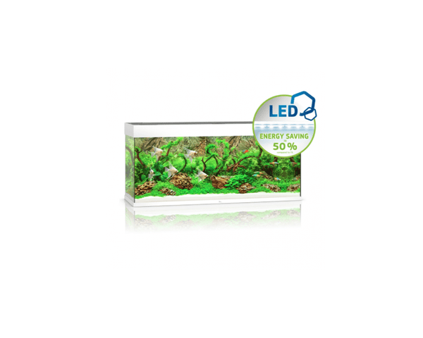Rio 240 LED Aquarium (121 x 41 x 55 cm) - Juwel Aquarium - PetStore.ae