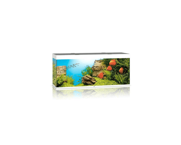 Rio 450 LED Aquarium (151 x 51 x 66 cm) - Juwel Aquarium - PetStore.ae