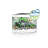 Trigon 190 LED Aquarium 98.5 x 70 x 60 cm) - Juwel Aquarium - PetStore.ae