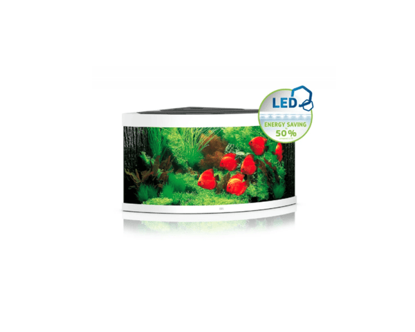 Trigon 350 LED Aquarium (123 x 87 x 65 cm) - Juwel Aquarium - PetStore.ae