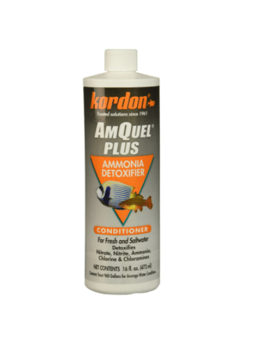 Kordon - AmQuel® Plus™ 473ml