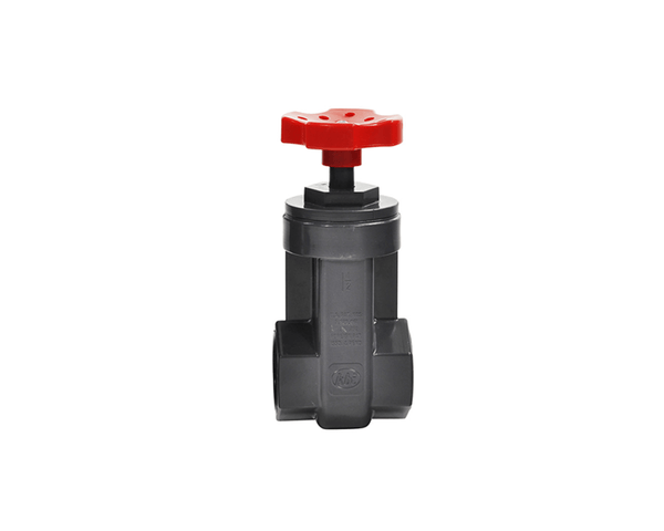Gate Valve - Slip X Slip - Lifeguard Aquatics - PetStore.ae