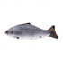 products/mikki-pets-catnip-fish-trout-cat-toy-mikki-18947885924514.jpg