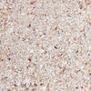 Bio-Activ Live Aragonite Sand - Live Reef Substrate - Nature's Ocean - PetStore.ae