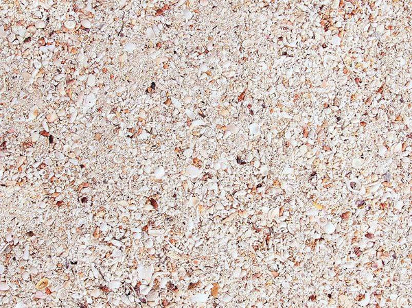 Bio-Activ Live Aragonite Sand - Live Reef Substrate - Nature's Ocean - PetStore.ae